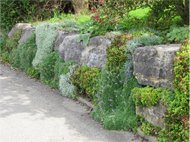 Gartenpflege in und um Tettnang Ihr Garten ist bei dem Hausmeisterservice Braitmaier aus Tettnang in guten Händen.