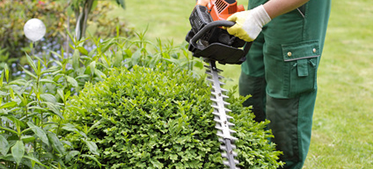 Rund um's Haus | Braitmaier | Gartenpflege Tettnang